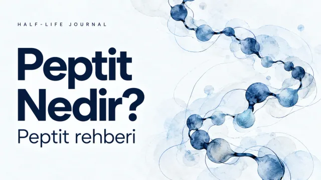 Blue chain illustration on a light background for the What Are Peptides? guide